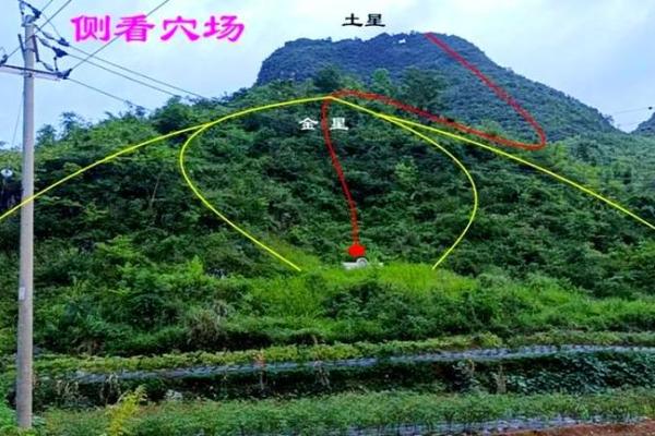 探讨后花园贵妃的命理与风水奥秘，一探其背后的文化深意