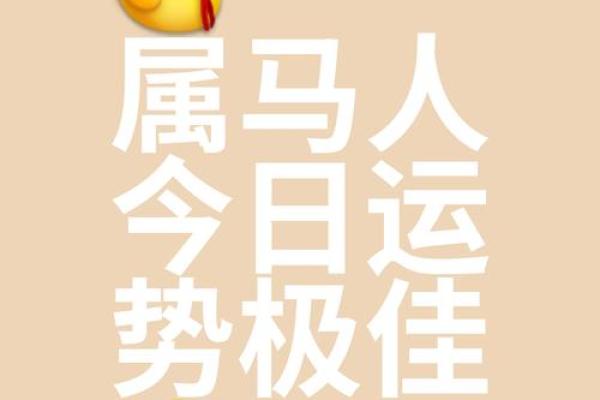 2002年马命的运势与人生启示：活出精彩人生的智慧