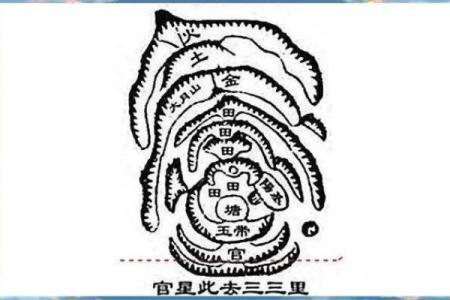 探讨后花园贵妃的命理与风水奥秘，一探其背后的文化深意