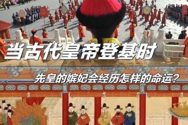 1985年酉时出生的人命运解析：成功与挑战的双重奏