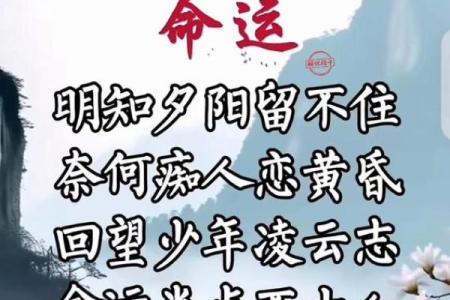 再烂的命也是命：人生的无奈与希望