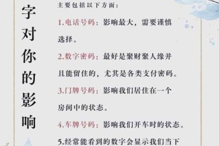 探索数字背后的秘密：解密数字命理术语与生活的关联