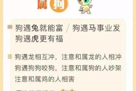 2007年属狗命格解析：探索你与命运的深层联系