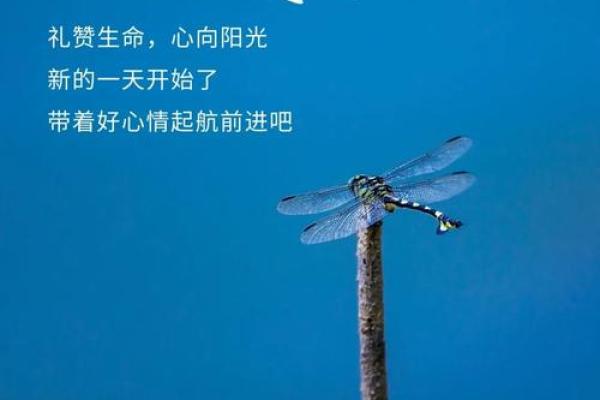 探索风波命：人生中的变幻与挑战