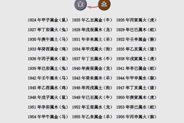 2019年属什么命格？探寻五行中的秘密与运势