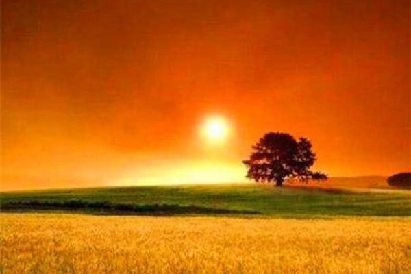 火命人适合的行业：探索职场中的光芒与激情