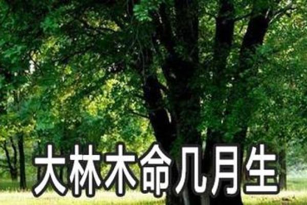 大林木命：找到适合自己的Logo之道，助你能量满满！