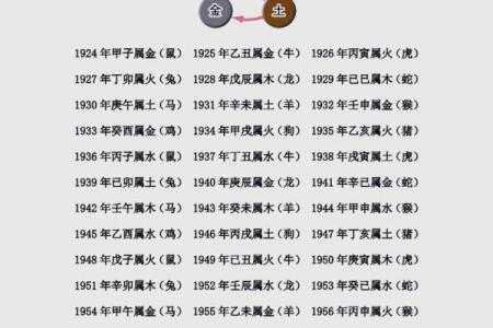 2019年属什么命格？探寻五行中的秘密与运势