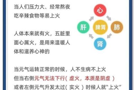 揭秘天火命的最佳生意选择，助你事业蒸蒸日上！