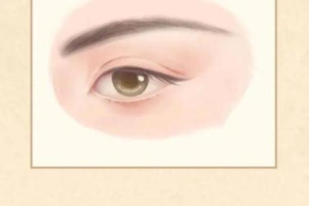 女人没有长眉毛的命运：眉毛之于魅力与智慧的启示