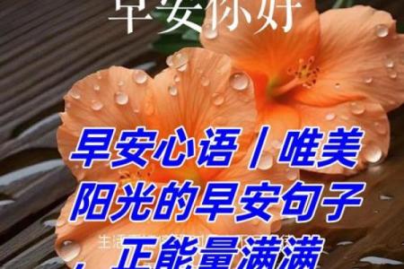 大林木命：找到适合自己的Logo之道，助你能量满满！