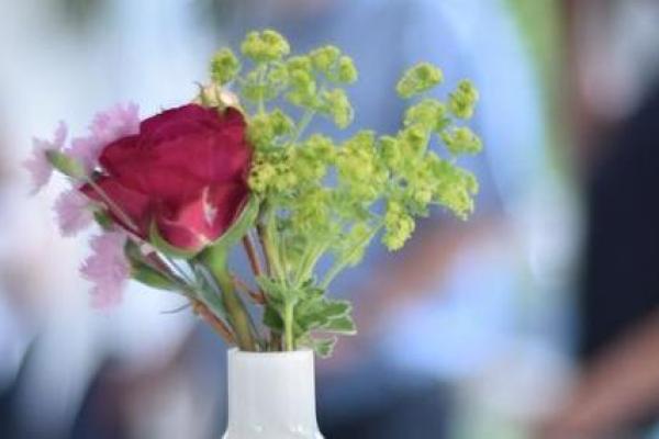 探寻适合食神女命的完美伴侣：结婚选择指南