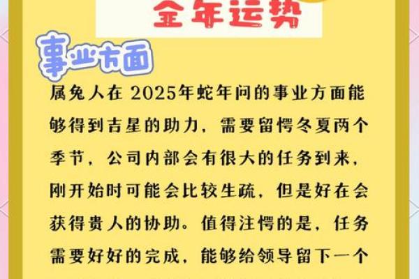 属兔女命运解析：1999年出生的兔女如何绽放人生精彩