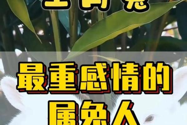 属兔女命运解析：1999年出生的兔女如何绽放人生精彩