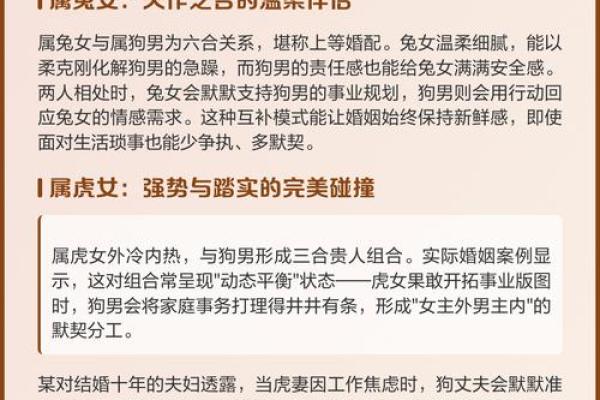 94年属狗,揭秘你的金木水火命运之旅! 94年属狗,揭秘你的金木水火命运之旅!