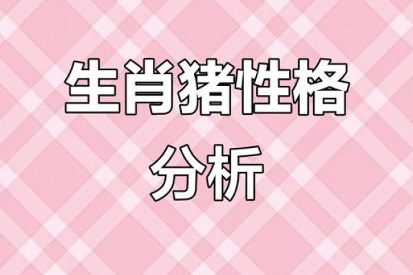 2019年：命里属什么？探寻生肖猪的秘密与运势！