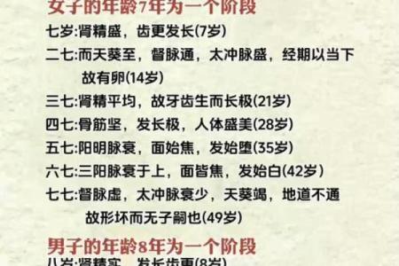 揭秘子女普通命的深层含义与生活启示