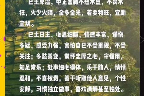 揭开土命的神秘面纱：土命的定义与分类详解