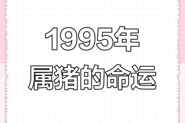 1995年属猪人的命运与性格分析：揭秘人生的独特轨迹
