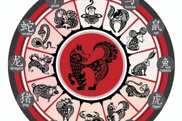 1995年属猪人的命运与性格分析：揭秘人生的独特轨迹