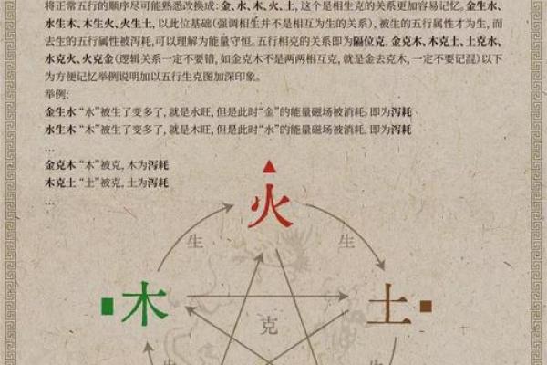 大林木命：探寻五行中的木之智慧与喜好属性