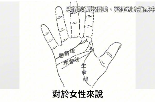 断掌命格的奥秘：解密掌纹对人生的潜在影响