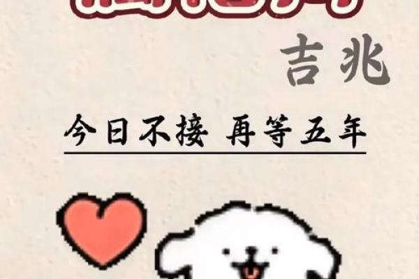 壬戌年属狗人的命运解析与生活建议，幸福人生从这里开始！