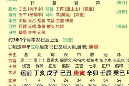 坤命西四人适合从事哪些工作？探索职业发展的最佳选择！