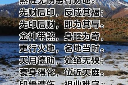 双食神命理解析：揭示你的财富与智慧之道！