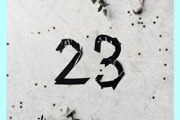 探索24日出生者的命运与性格特征