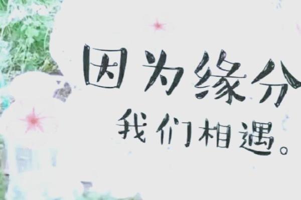 六十岁命人：岁月如歌，智慧与经验的交响乐