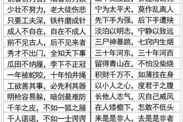 探索成语的智慧：那些以“什么”提“什么”的成语大全