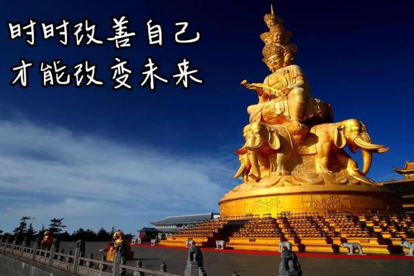 算命花童的命运解析:揭示生命中的秘密与机遇 算命花童的命运解析:揭示生命中的秘密与机遇