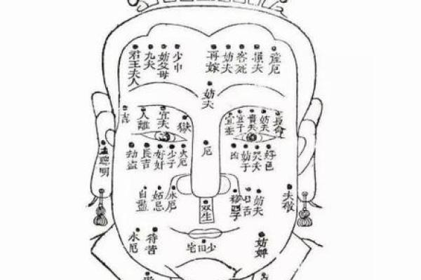 算命花童的命运解析:揭示生命中的秘密与机遇 算命花童的命运解析:揭示生命中的秘密与机遇