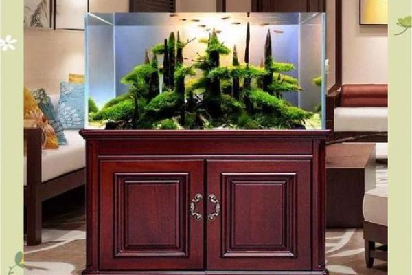 木命者如何选择鱼缸摆放位置提升运势？