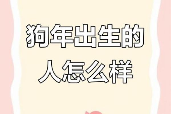 1982年属狗:探索狗年出生人的命运与个性魅力 1982年属狗:探索狗年出生人的命运与个性魅力
