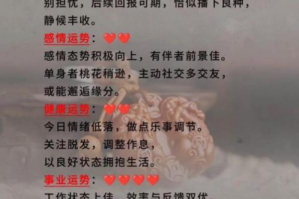 1982年属狗:探索狗年出生人的命运与个性魅力 1982年属狗:探索狗年出生人的命运与个性魅力