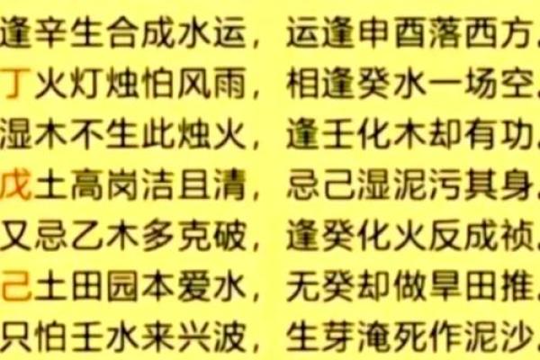 阳土命与阴土命的神秘区别：探秘五行命理的奥秘