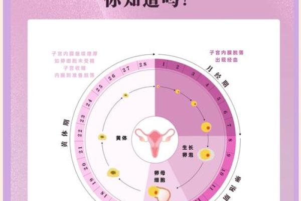 1977年女命特点与未来发展之道解析 1977年女命特点与未来发展之道解析