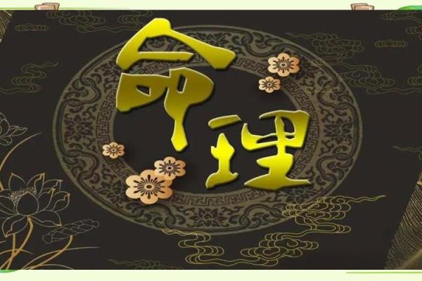 正印格女命的特质与职业选择引导 正印格女命的特质与职业选择引导