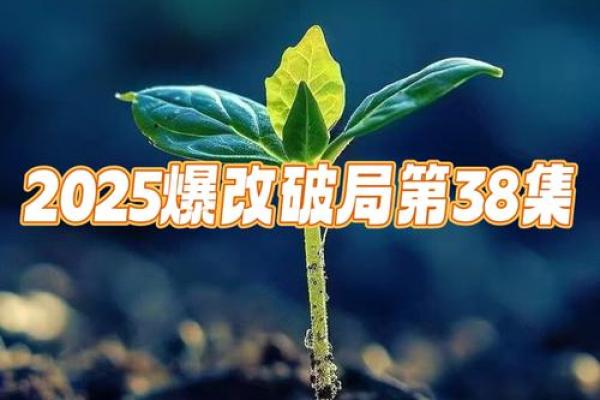 2025年:新机遇与挑战,开启属于你的命运之旅! 2025年:新机遇与挑战,开启属于你的命运之旅!
