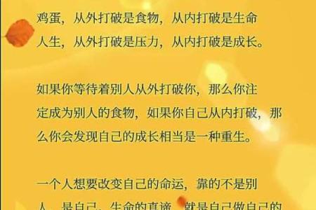 不信命却逆天改命：突破命运桎梏的勇气与智慧