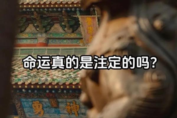 什么命格的人注定与缘分相伴,探寻命运的神秘 什么命格的人注定与缘分相伴,探寻命运的神秘