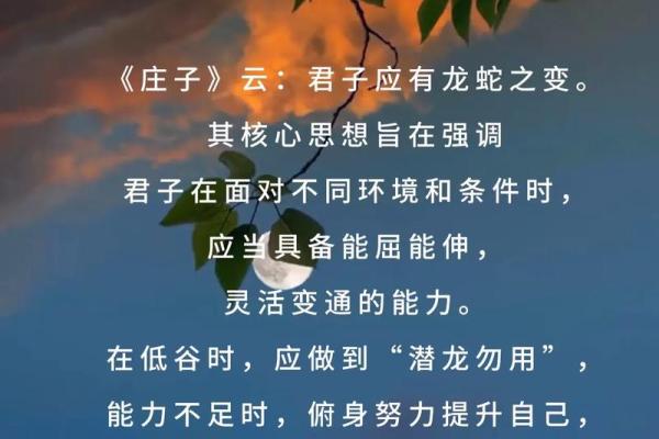 丁亥壬戌结合的命理解析:揭示人生的潜在智慧与机遇 丁亥壬戌结合的命理解析:揭示人生的潜在智慧与机遇