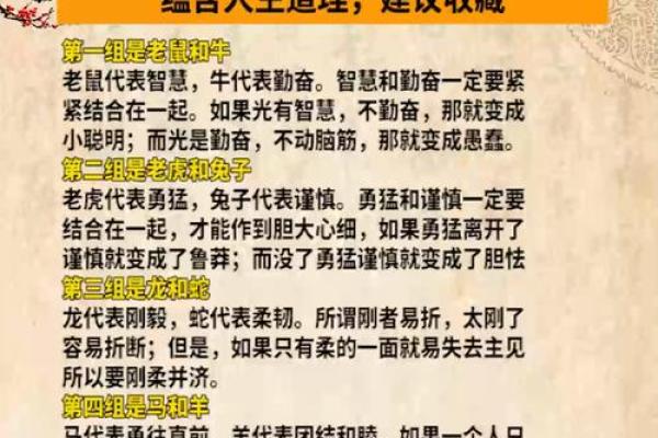 12生肖与命运的神奇关联,解读每个生肖的命理奥秘! 12生肖与命运的神奇关联,解读每个生肖的命理奥秘!