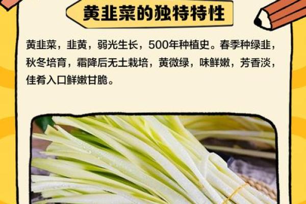 韭菜与克星:揭秘韭菜在饮食中的神秘关系与搭配禁忌 韭菜与克星:揭秘韭菜在饮食中的神秘关系与搭配禁忌