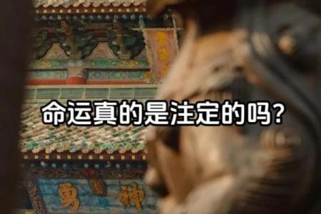 什么命格的人注定与缘分相伴，探寻命运的神秘