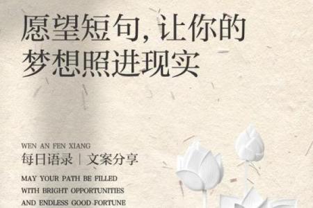 当梦想与现实碰撞，我们该如何追寻心中的光芒？