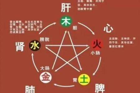 火命土命五行缺色解析：点燃生活的色彩之路