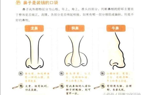 1992年正月十一出生的命运解析与人生轨迹 1992年正月十一出生的命运解析与人生轨迹